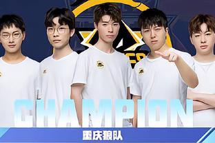 论需要强调